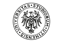 scarica Frontespizio Università degli Studi di Udine - UNIUD