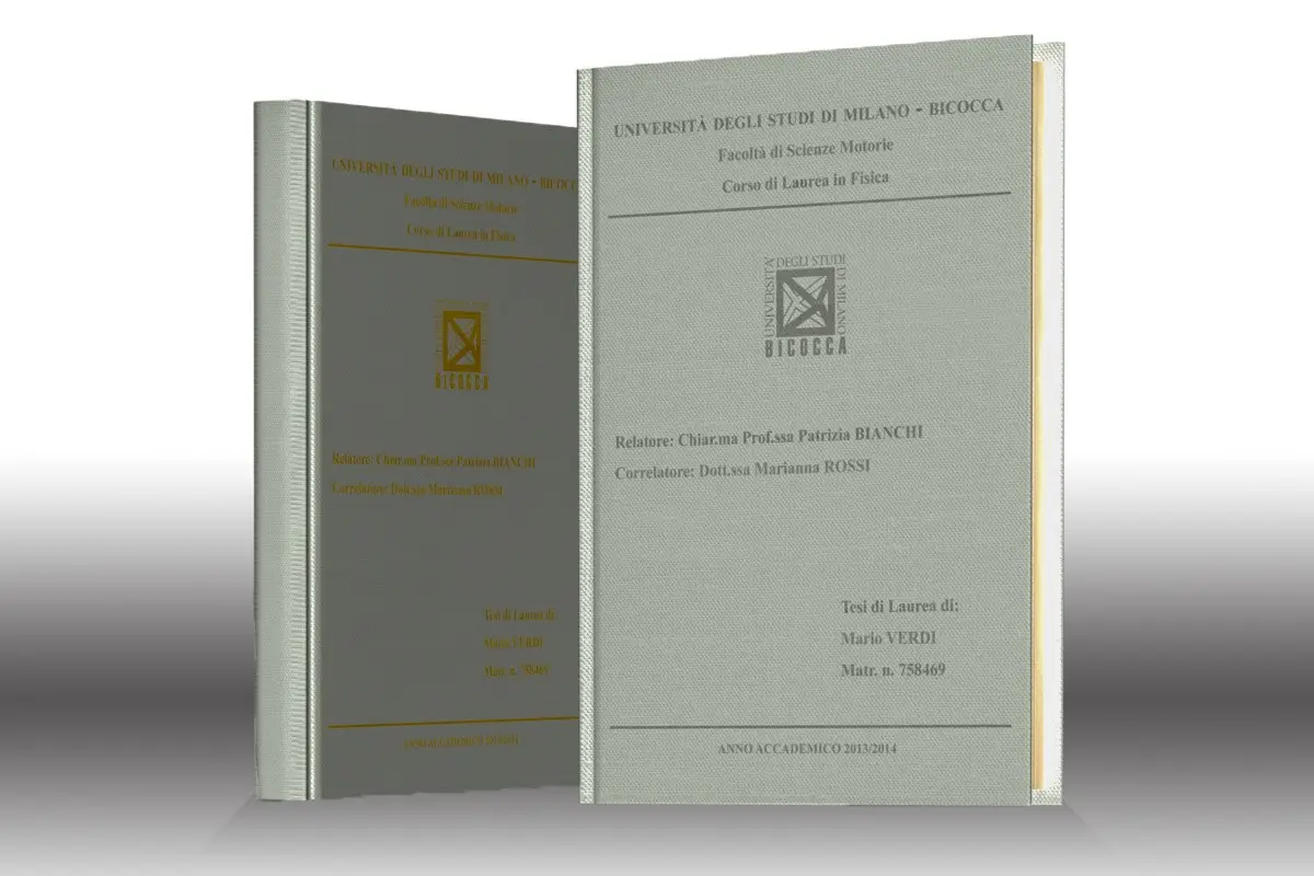 stampa tesi SETA GRIGIO 1745 (PIETRA)